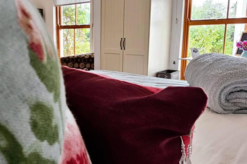 Grey Rabbit Cottage Монтегю Екстер'єр фото