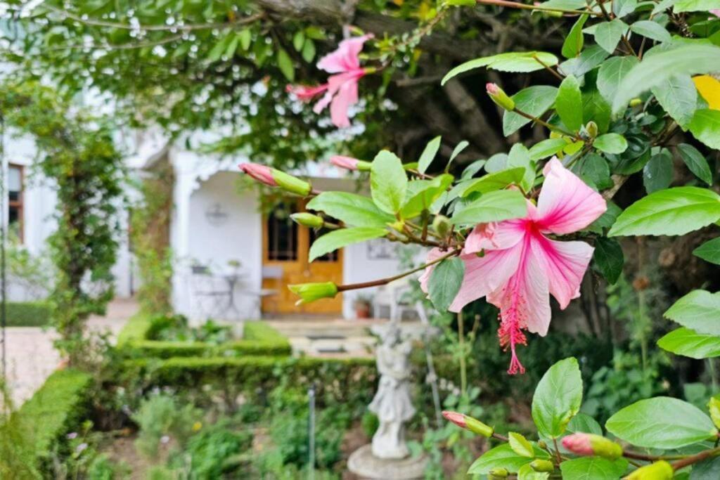 Grey Rabbit Cottage Монтегю Екстер'єр фото