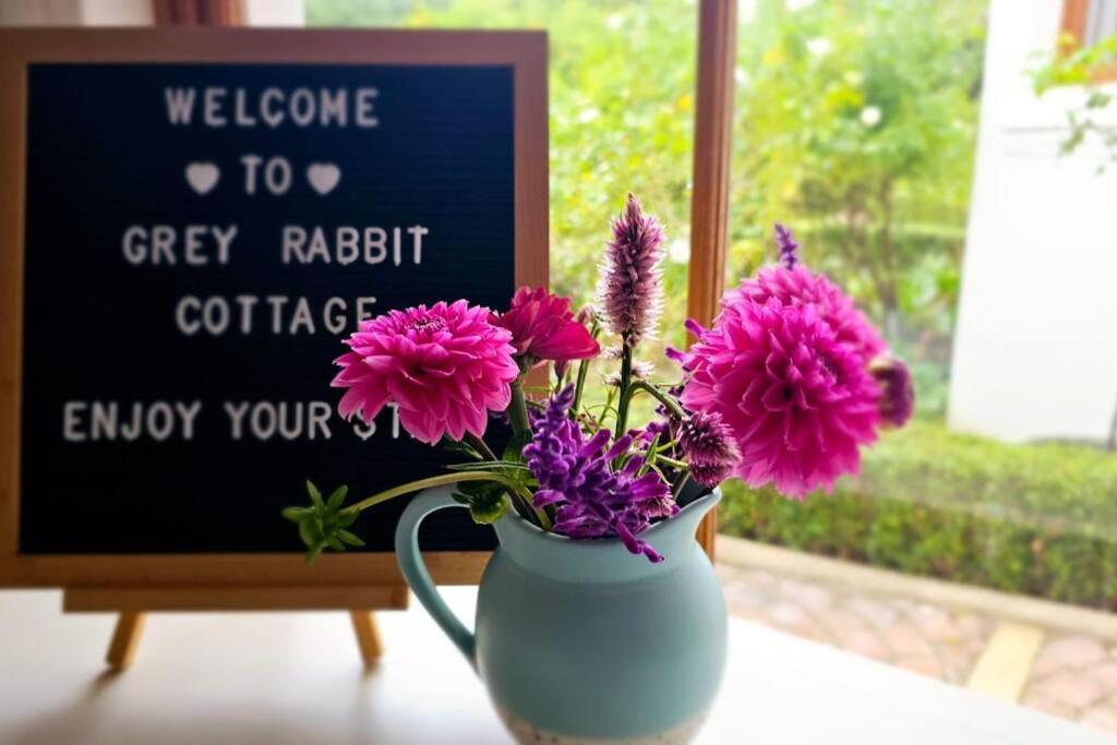 Grey Rabbit Cottage Монтегю Екстер'єр фото